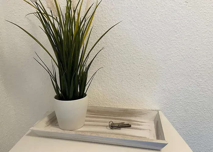 Appartement Cosy Und Am Puls Von *
